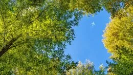 avolon partners with global aviation leaders to launch sustainable aviation fuel feasibility study in ireland