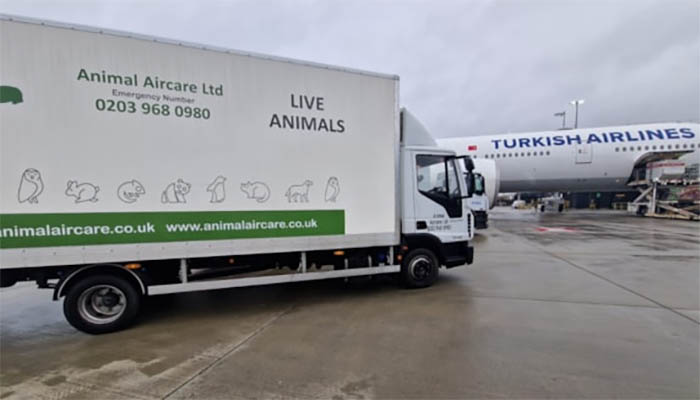 Animal Aircare