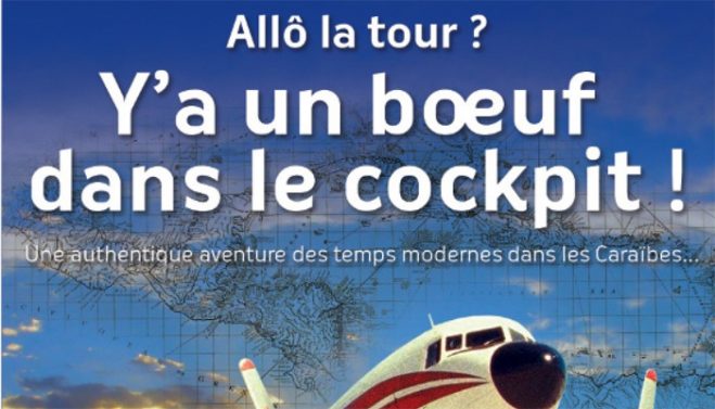 ALLO-LA-TOUR-Y-A-UN-BŒUF-DANS-LE-COCKPIT-!-SIMON-HAYOT-aeromorning.com