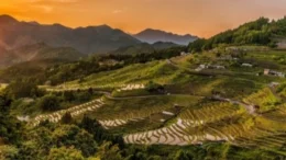 La PATA France et l’institut TCI Research délivrent un message optimiste aux acteurs touristiques de la zone Asie-Pacifique en analysant les intentions de voyages des Français et l’image des destinations de la zone Asie-Pacifique