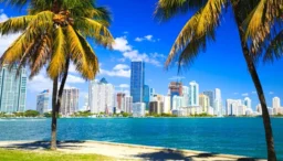 Découvrez les nouveautés de Miami, partez avec French bee
