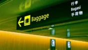 Étude - Bagages en avion