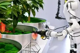 RealMan Robotics ouvre centre d’entraînement robots