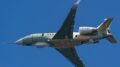 Albatros